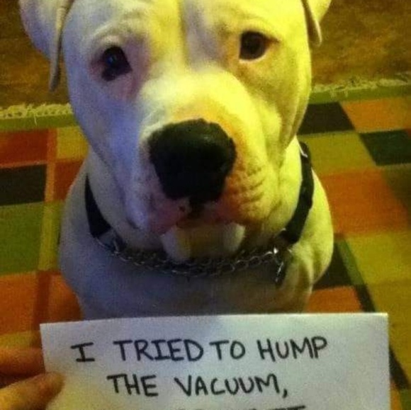 Meet your Posher, Chas - Picture 1 of 1